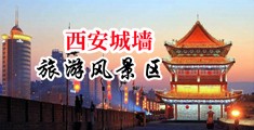 操嫩逼同人视频!中国陕西-西安城墙旅游风景区